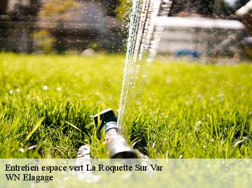 Entretien espace vert  la-roquette-sur-var-06670 WN Elagage