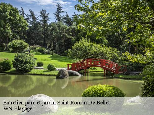 Entretien parc et jardin  saint-roman-de-bellet-06200 WN Elagage